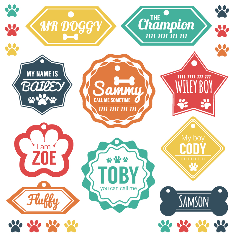 10 models of color dog tag vector material
