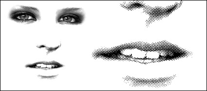 face vector