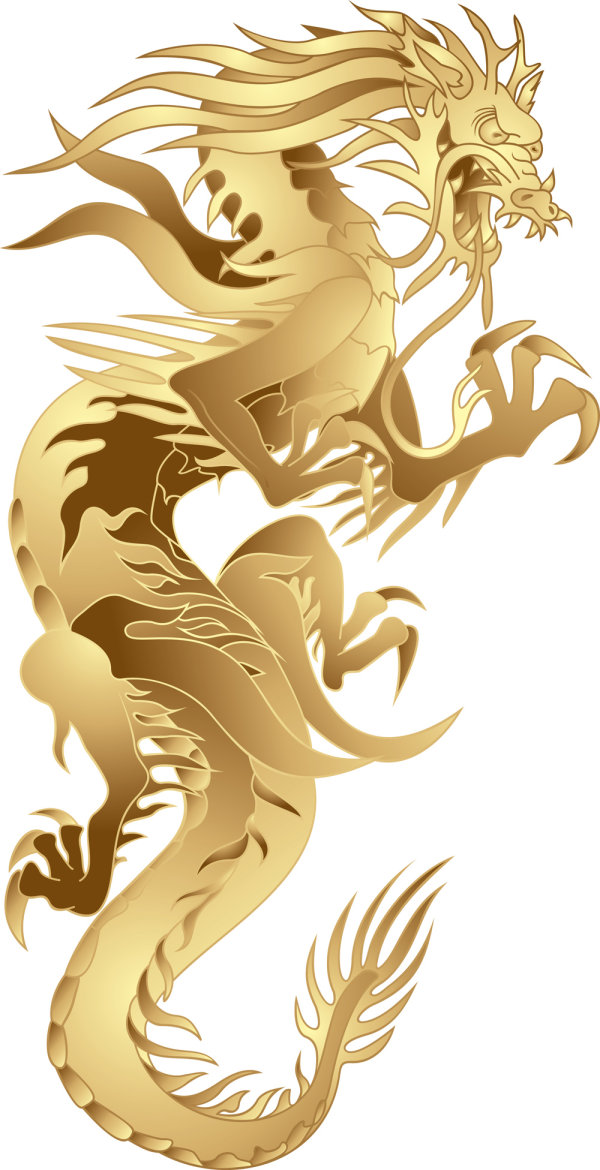 Dragon Year patterns 05 - vector material
