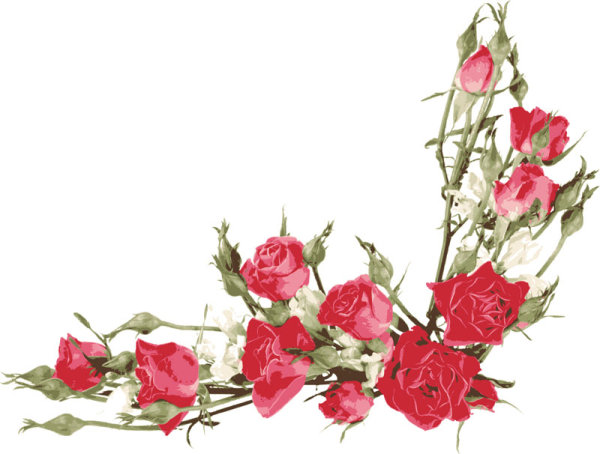 Rose bouquet 04 - vector material