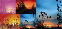 sunset scenery vector material