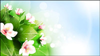 Beautiful flowers vector material -2 