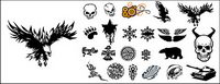 The trend of classical elements of vector material